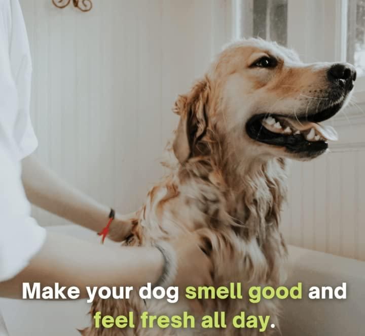 Anti-Itch Dog Shampoo – “Ditch to Itch” | 300ml (Pack of 2)