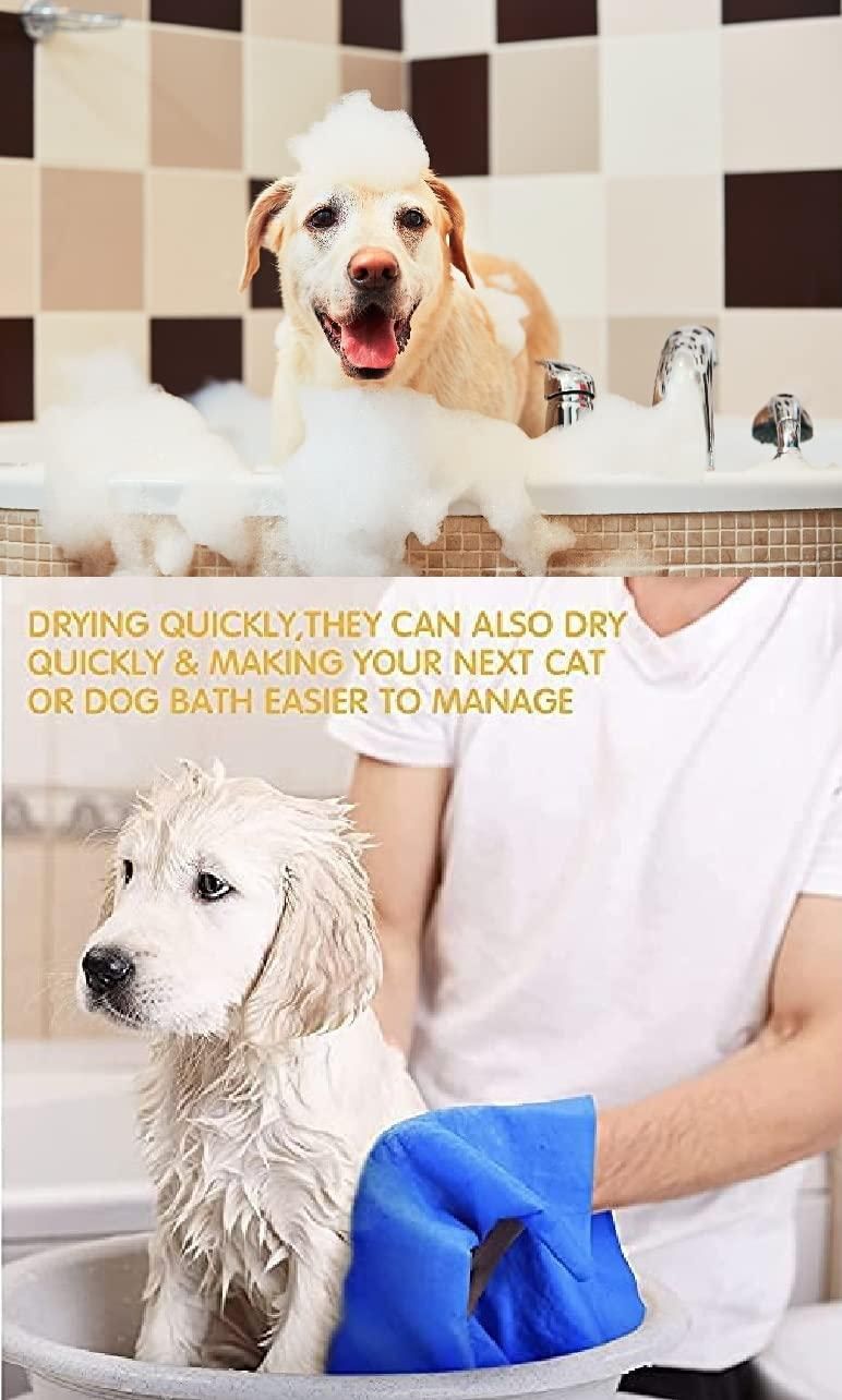 Anti-Itch Dog Shampoo – “Ditch to Itch” | 300ml (Pack of 2)