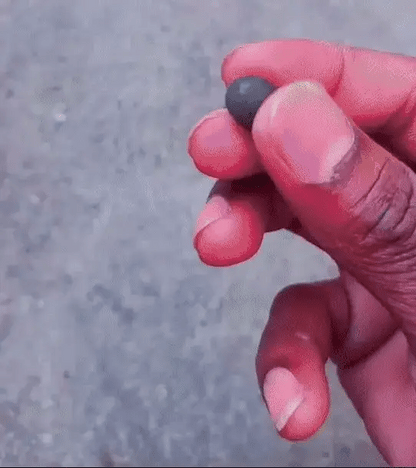 Bonsai Lotus Flower Seeds – Grow Your Own Miniature Zen Garden