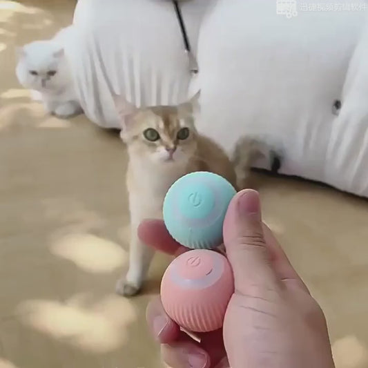 Rotating Cat Toy Ball – Interactive LED Fun for Happy, Active Cats!