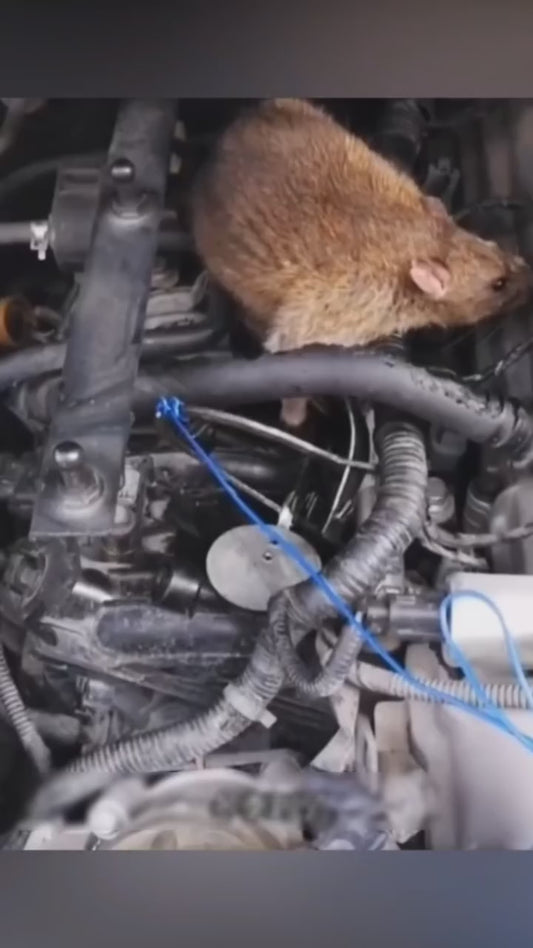 Car Rat Guard - Shield Your Car from Rodents